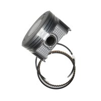 Motoliga 220 pistons