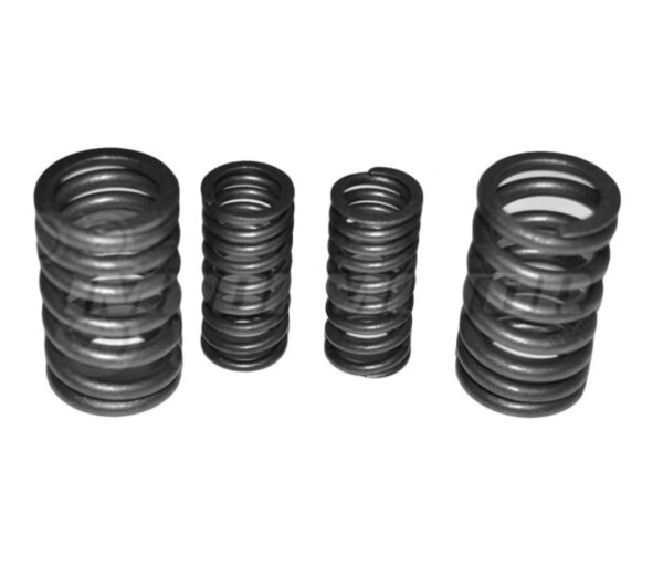 Valve springs Z 190 reinforced
