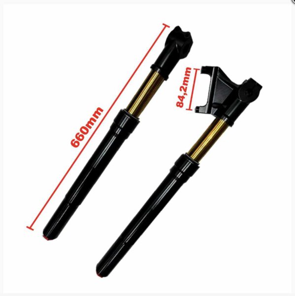 Fork model Copa (fully adjustable, radial caliper mount)